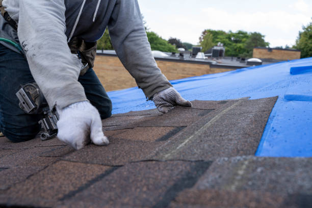 Quick and Trustworthy Emergency Roof Repair Services in La Presa, CA