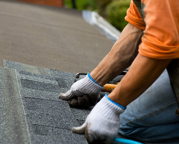 Best Residential Roofing Contractor  in La Presa, CA